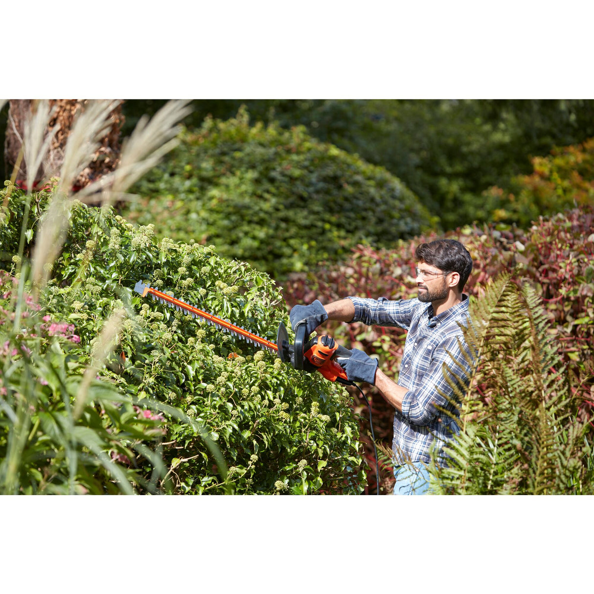Homme utilisant un taille-haie Black+Decker orange pour tailler des haies vertes dans un jardin.
