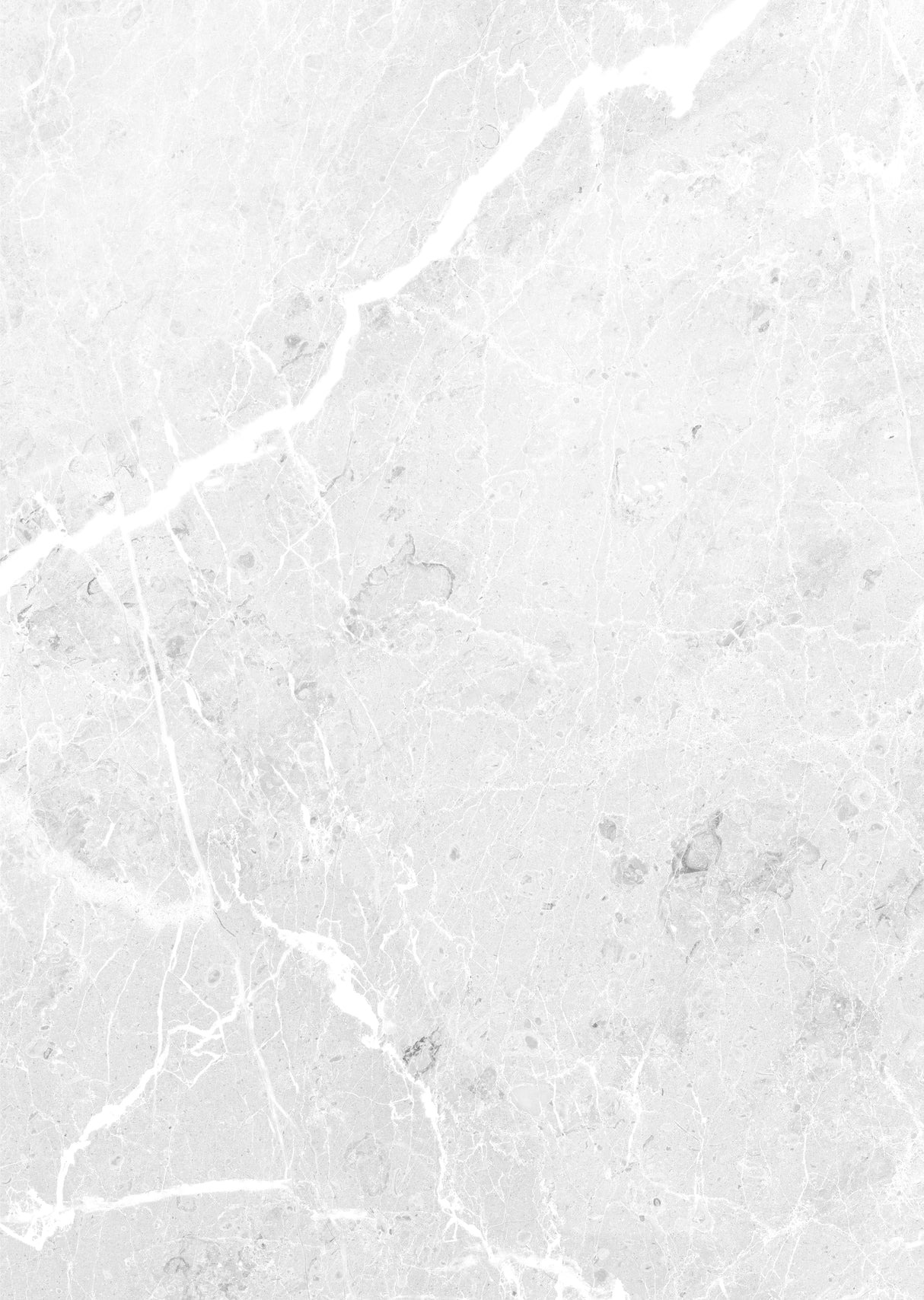 Carrelage Brillant marque Aragongris, type carreau, couleur gris clair avec veinures blanches.