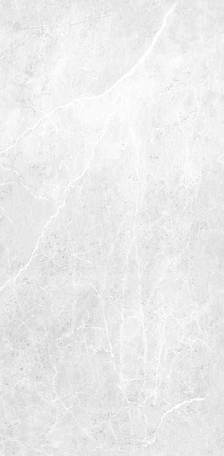Carrelage Brillant marque Aragongris, type carreau, couleur gris clair avec effet marbre.