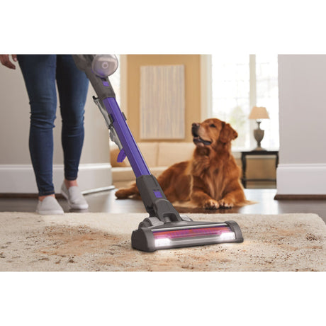 Aspirateur balai BISSELL violet sans fil, utilisé sur un tapis beige en présence d’un chien.
