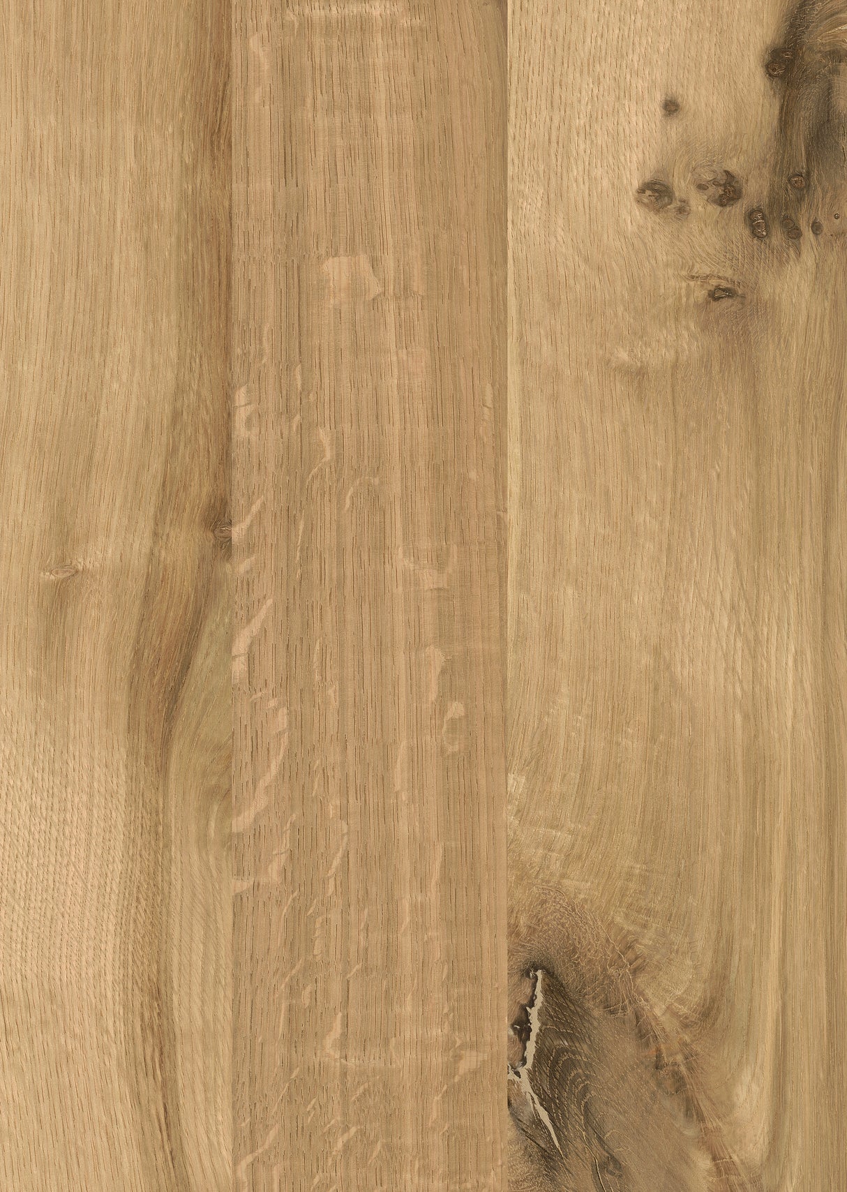 Velvet, panneau décoratif en bois, couleur chêne sauvage, grain naturel